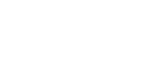 MS Serviços